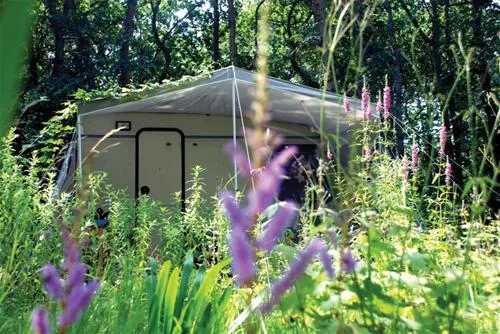 kennemer-duincamping-geversduin-castricum-s6do8