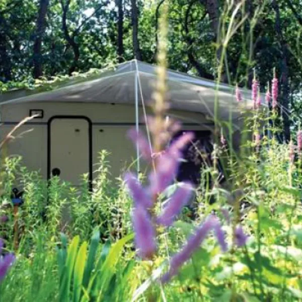 kennemer-duincamping-geversduin-castricum-s6do8