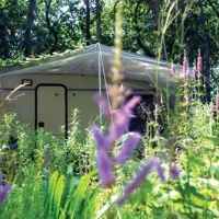 kennemer-duincamping-geversduin-castricum-s6do8
