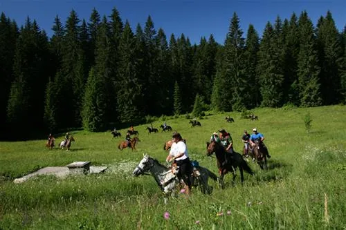 camping-turist-grabovac-rakovica-plitvika-jezera-ws5j6