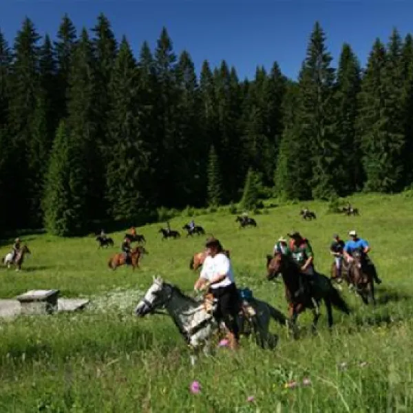 camping-turist-grabovac-rakovica-plitvika-jezera-ws5j6