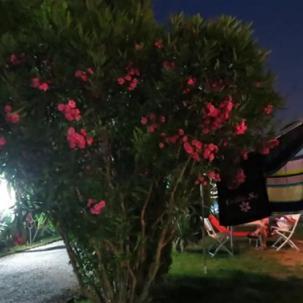 camping-villa-garuti-padenghe-lago-di-garda-bl0ig