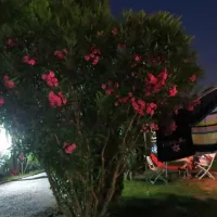 camping-villa-garuti-padenghe-lago-di-garda-bl0ig