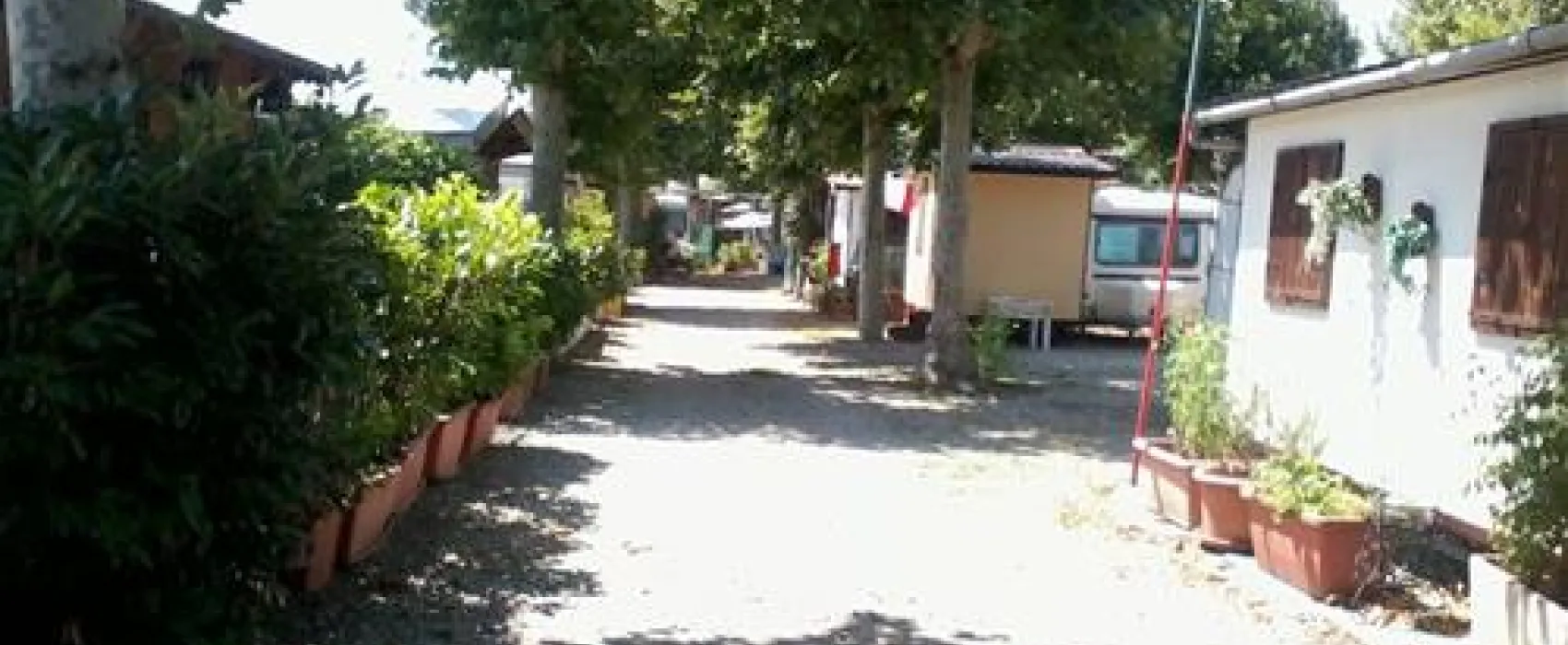 Campeggio Mill Park
