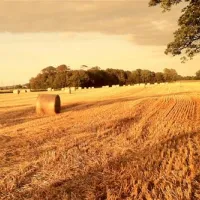eastham-hall-caravan-park-lytham-st-annes-qniys