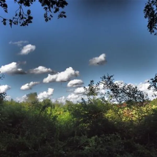 camping-und-bungalowpark-ottermeer-wiesmoor-4y1tj
