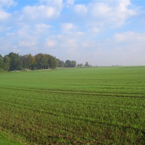 camping-kellerberg-asendorfessen-ohoag
