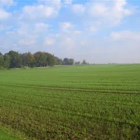 camping-kellerberg-asendorfessen-ohoag