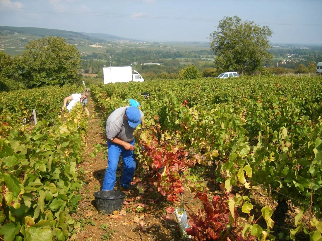 camp-libre-la-chapelle-st-sauveur-9ofpe
