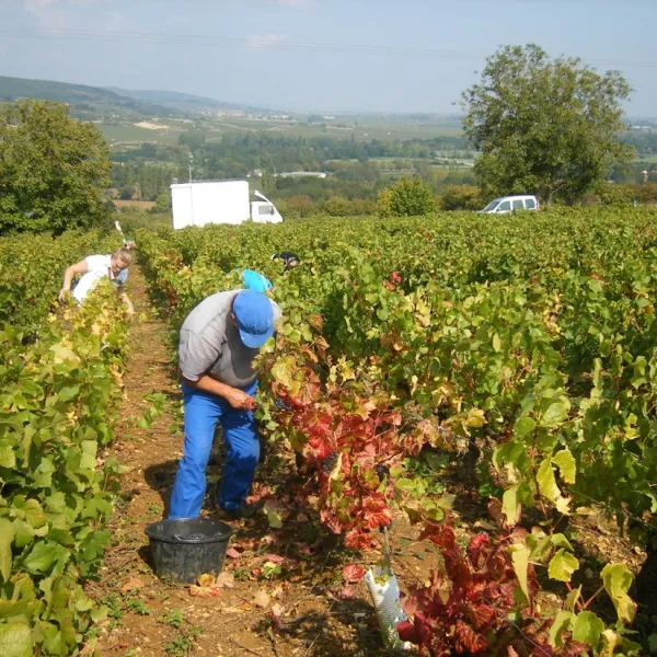 camp-libre-la-chapelle-st-sauveur-9ofpe