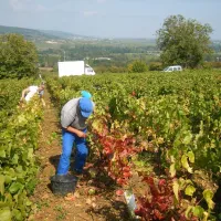 camp-libre-la-chapelle-st-sauveur-9ofpe