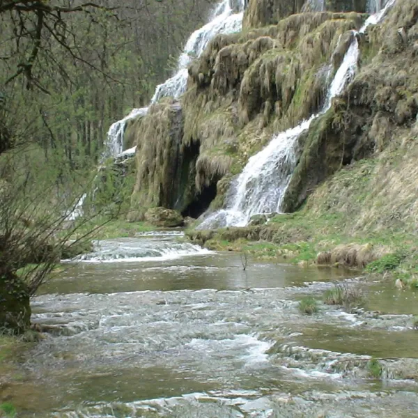camp-libre-la-chapelle-st-sauveur-rn5zl