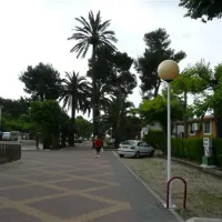 camping-lalqueria-ganda-4ybnk