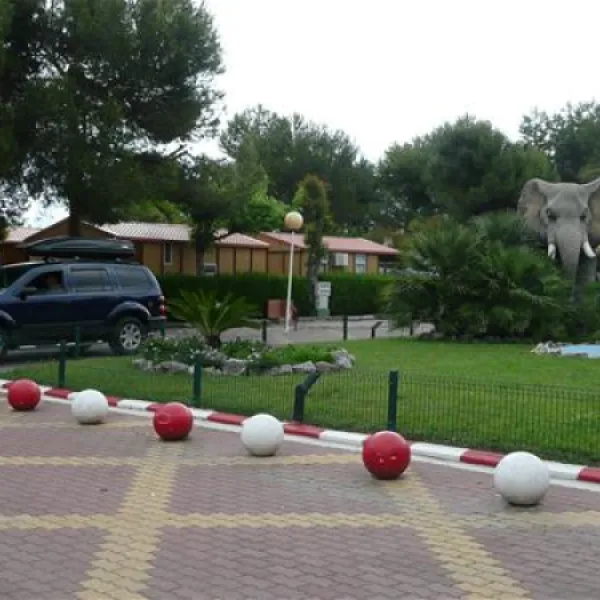 camping-lalqueria-ganda-vcyzg
