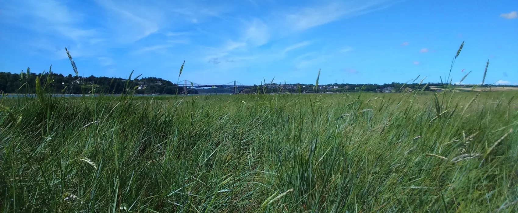 Camping La Ville Ger