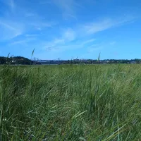 Camping La Ville Ger