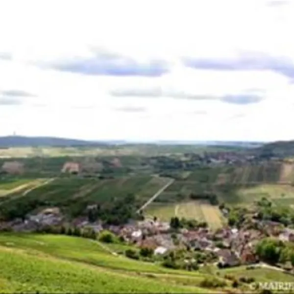 flower-camping-les-portes-de-sancerre-saint-satur-gss3c