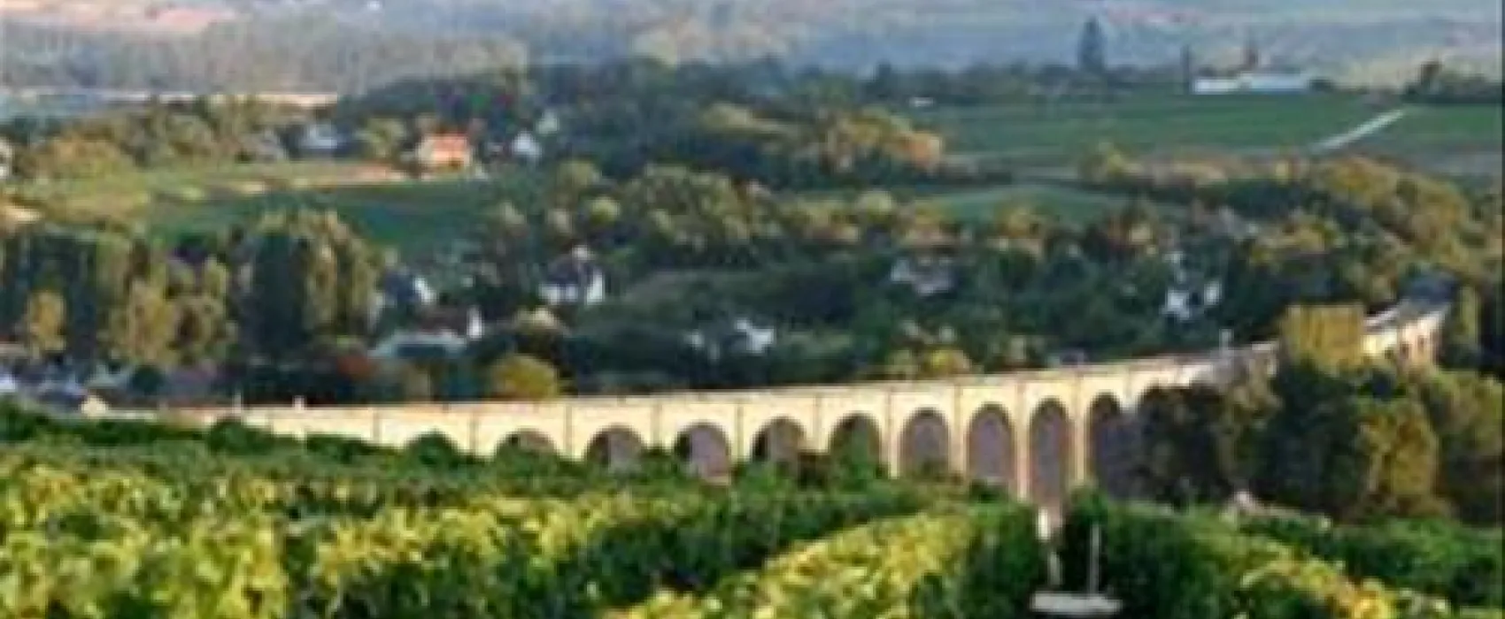 Flower Camping - Les Portes de Sancerre