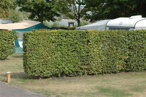 camping-municipal-du-parc-la-mailleraye-sur-seine-dtexu