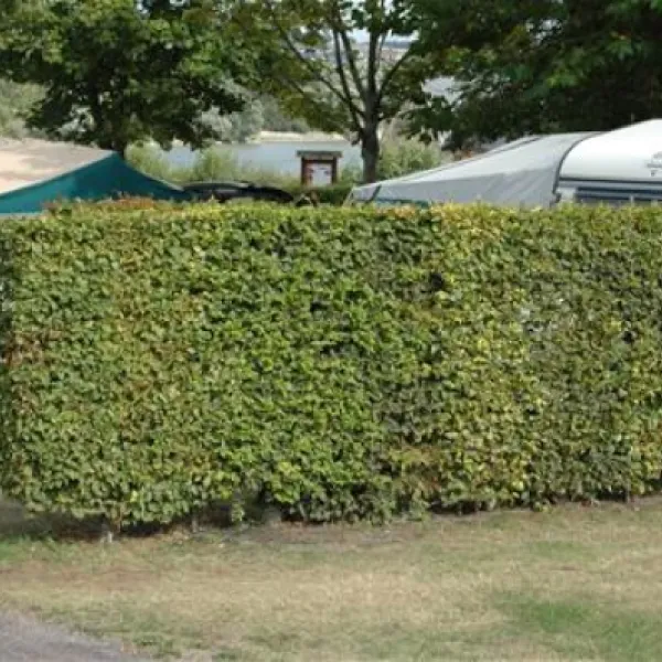 camping-municipal-du-parc-la-mailleraye-sur-seine-dtexu