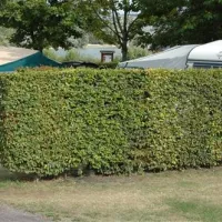 camping-municipal-du-parc-la-mailleraye-sur-seine-dtexu