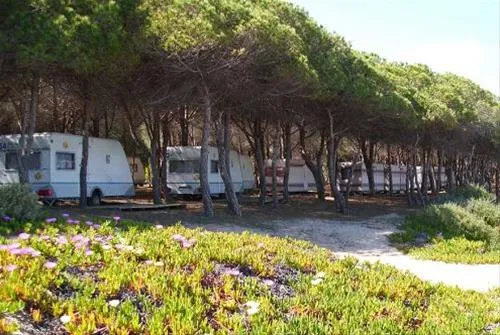 camping-iscrixedda-lotzorai-toueu