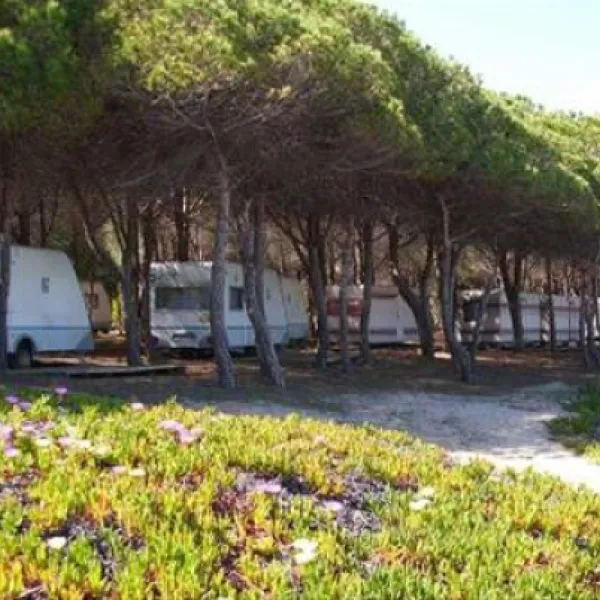 camping-iscrixedda-lotzorai-toueu