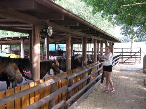 ponyland-rdesheim-am-rhein-hudcb