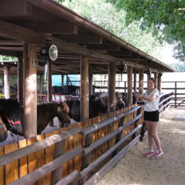 ponyland-rdesheim-am-rhein-hudcb
