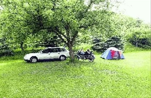 ponyland-rdesheim-am-rhein-nvpc5