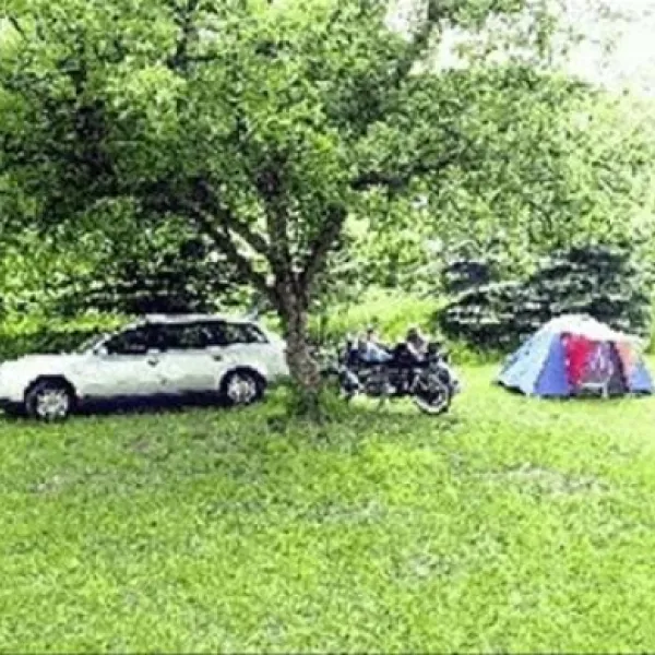 ponyland-rdesheim-am-rhein-nvpc5