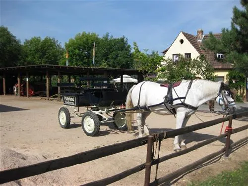 ponyland-rdesheim-am-rhein-u8wsk