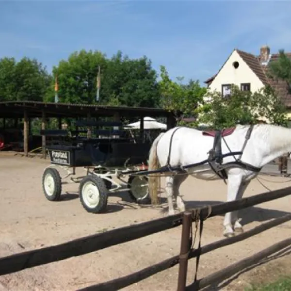 ponyland-rdesheim-am-rhein-u8wsk