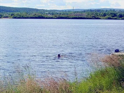 camping-aavasuvannon-majat-aavasaksa-d1wjq