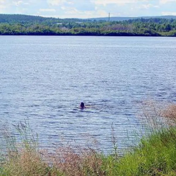 camping-aavasuvannon-majat-aavasaksa-d1wjq