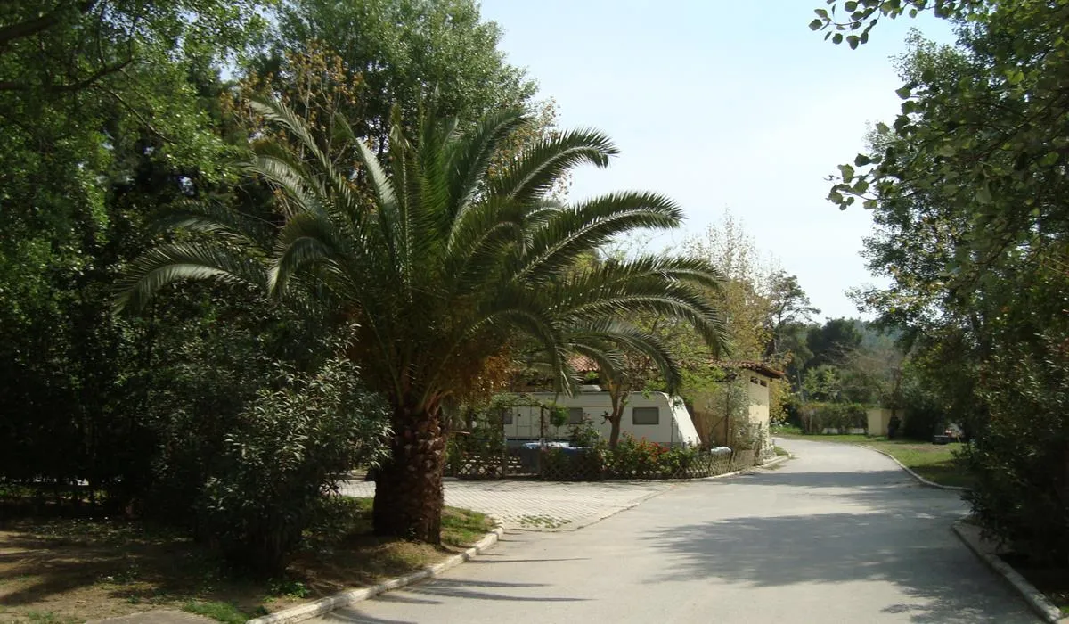 campsite-blue-dream-sani-vas3i