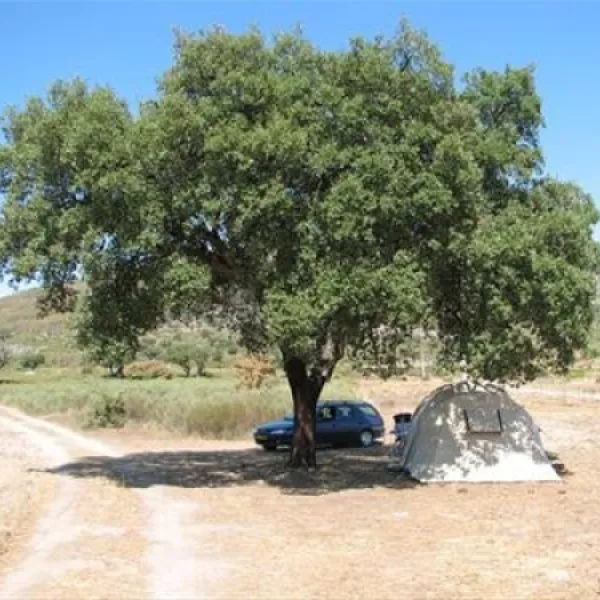 quinta-do-pomarinho-castelo-de-vide-w1cnp