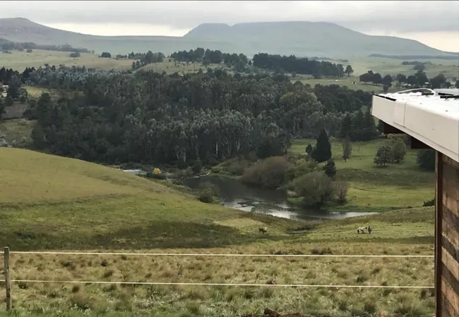 tin-can-glamping-caravan-underberg-uciew