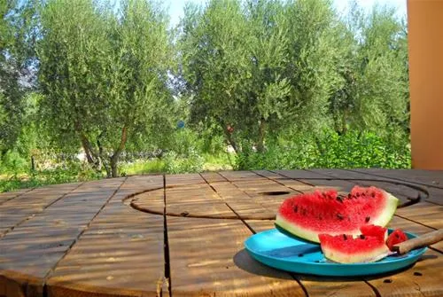 camping-semeli-plakaleonidion-wk2bp
