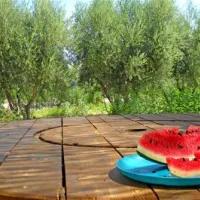 camping-semeli-plakaleonidion-wk2bp