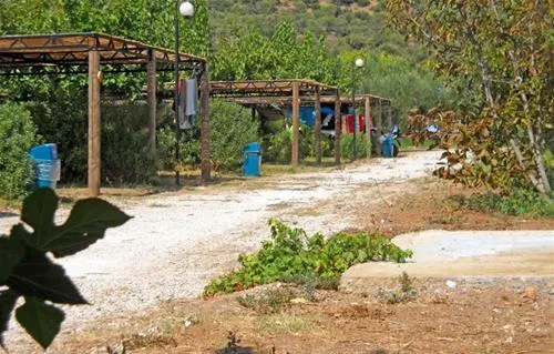 camping-semeli-plakaleonidion-zd5v4
