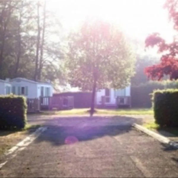 camping-de-vittel-vittel-u72ia