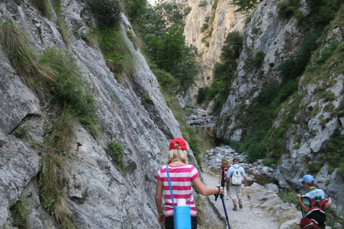 san-pelayo-potes-dm8g5