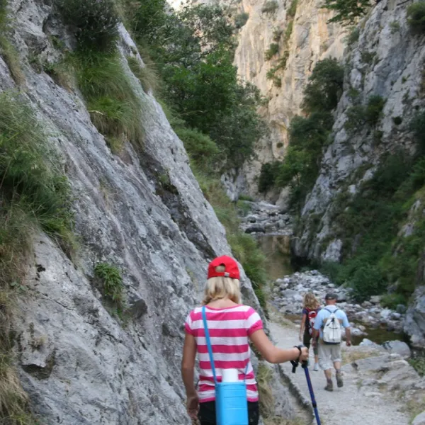 san-pelayo-potes-dm8g5
