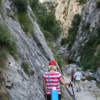 san-pelayo-potes-dm8g5