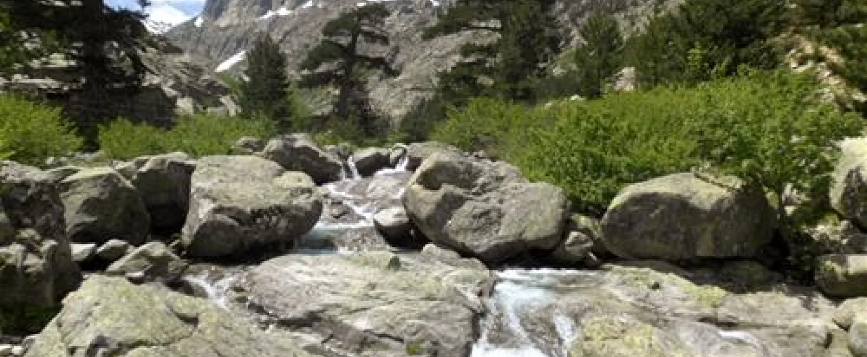 Camping aire naturelle de U Sognu