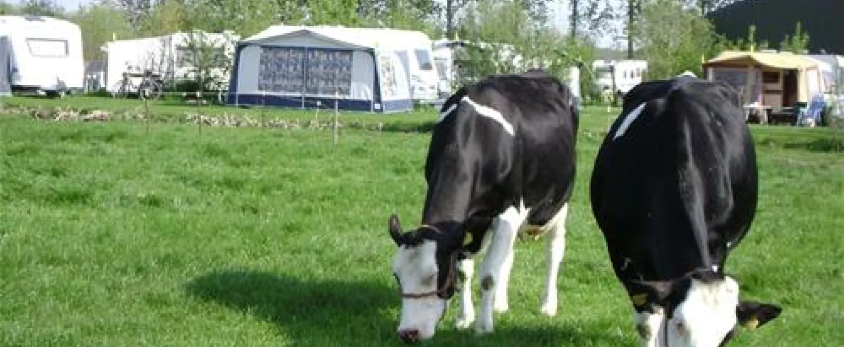 Boerderij Hazenveld minicamping/B&B***