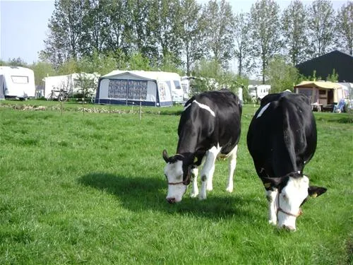 boerderij-hazenveld-minicampingbb-kockengen-qyggm