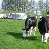 boerderij-hazenveld-minicampingbb-kockengen-qyggm