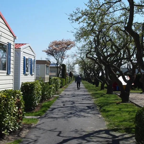 camping-in-de-bongerd-oostkapelle-keqrj